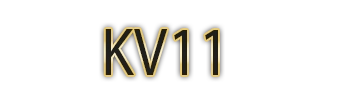 Logo KV11